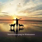 De Reetpieper Wohlfuehlen Am Nordseedeich