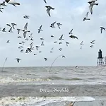 De Reetpieper Wohlfuehlen Am Nordseedeich * Wurster Nordseekuste