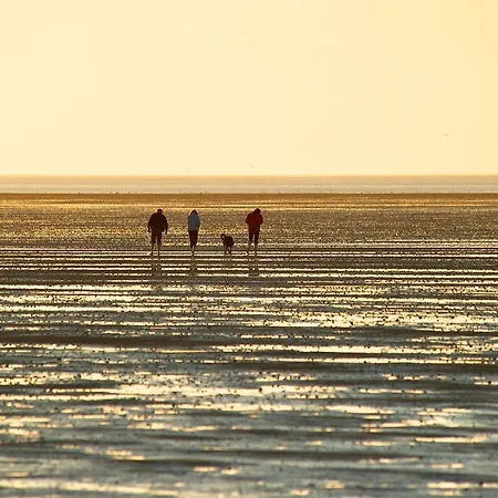 アパート Wohlfuehlen Am Nordseedeich
