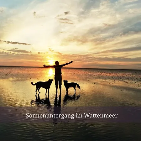 De Reetpieper Wohlfuehlen Am Nordseedeich