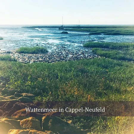 Appartement De Reetpieper Wohlfuehlen Am Nordseedeich *
