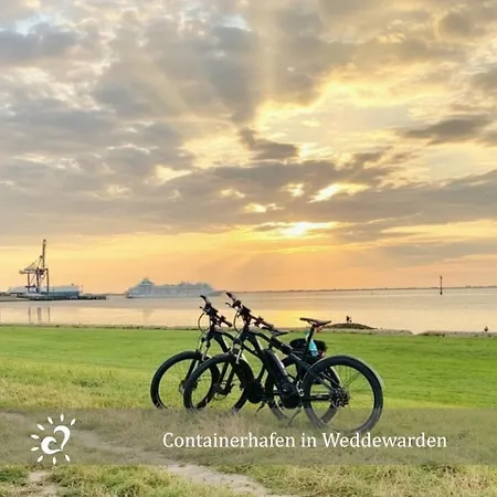 De Reetpieper Wohlfuehlen Am Nordseedeich *