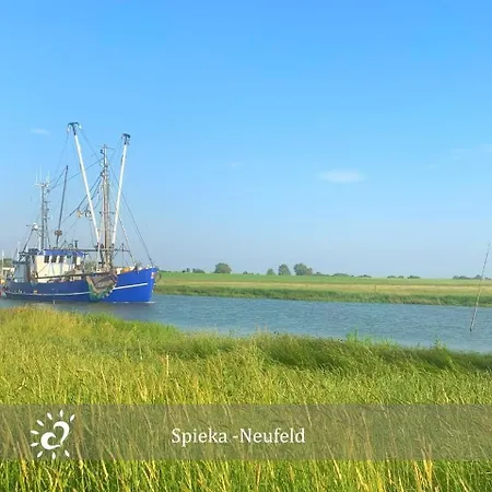 De Reetpieper Wohlfuehlen Am Nordseedeich