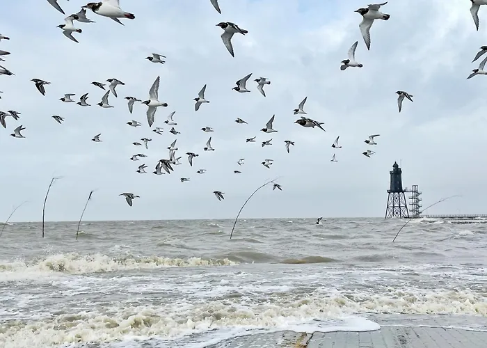 De Reetpieper Wohlfuehlen Am Nordseedeich Wurster Nordseekuste